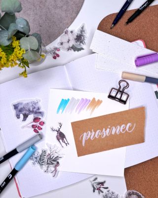 ❄️ Ve středu 12. 11. ve 20:00 se uvidíme na YouTube! Tentokrát nás čeká prosincový Bullet Journal – v klidných zimních...